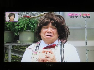 35058180_1723874037690655_5602205334874619904_o