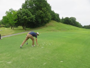 35076925_1725525837525475_1944249295951626240_o