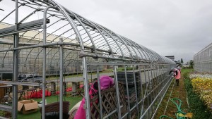 35102341_1727591893985536_8815651624669151232_n