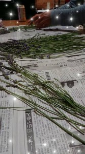 35357251_1729796323765093_5252749010212487168_n