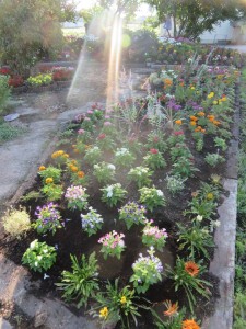 35694874_1740690916008967_7628493003010605056_n