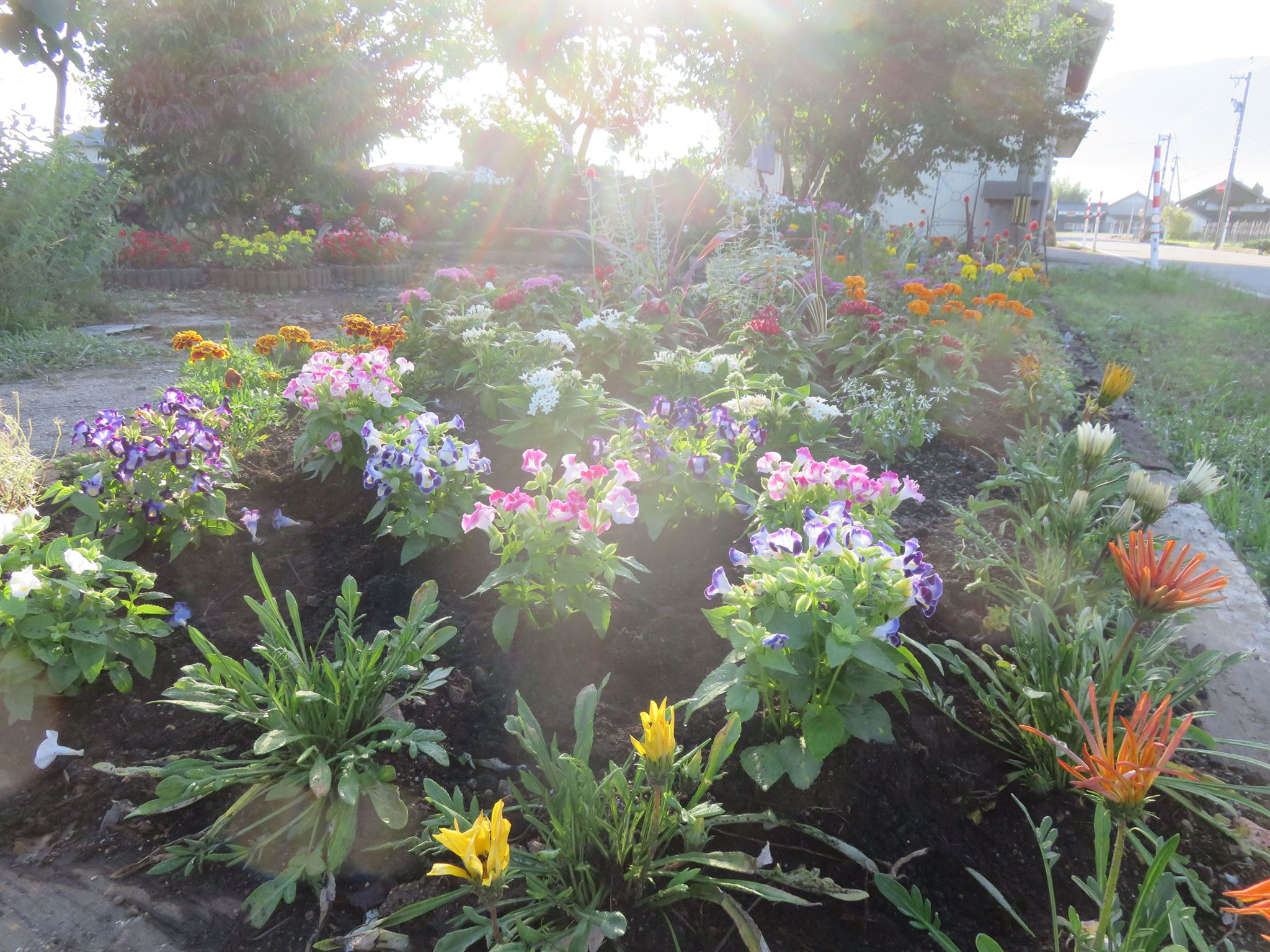 「なんと☆フラワールド２０１８」完成！！