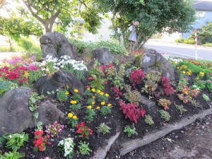 35820154_1740693849342007_4631076606062886912_n