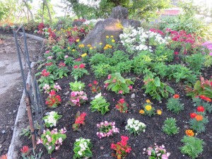 35836864_1740692486008810_5913319533002620928_n