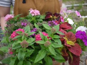 35928411_963947950449311_5909002201811910656_o