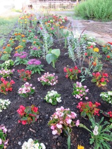 36032605_1740692526008806_3596673169210998784_n