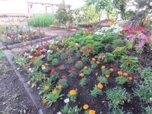 36034259_1740690929342299_1117526756429922304_n