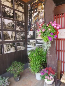 36035074_1744680338943358_683551419617247232_n