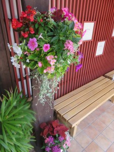 36048582_1744680395610019_6830420300534906880_n