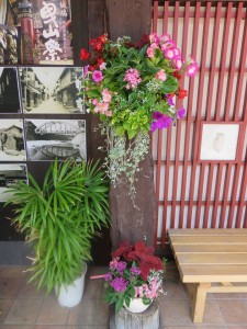 36064456_1744680238943368_7745917812610170880_n