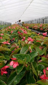 36176036_1749231928488199_6325184863506792448_n