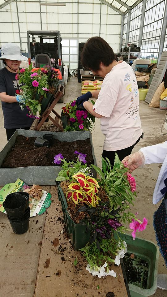 今月はハンギング作り♪