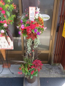 36364328_1753442208067171_7909634844877914112_n