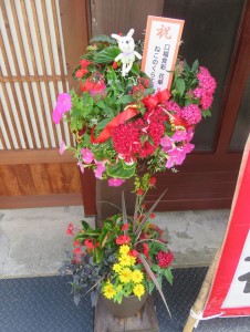 36485329_1753442491400476_14330832692969472_n