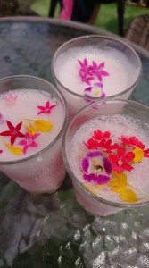 37931425_1799595280118530_3560216340046282752_n - コピー