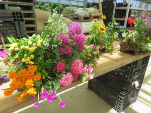 36474290_1756924201052305_2821022584022237184_n