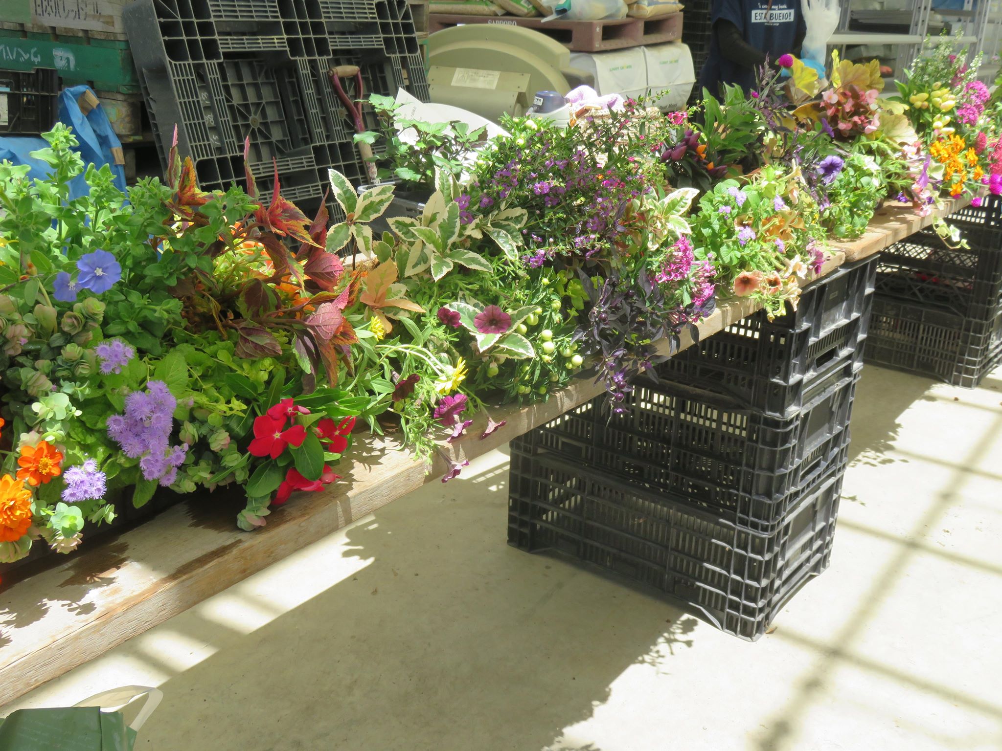 傾斜型コンテナの講習