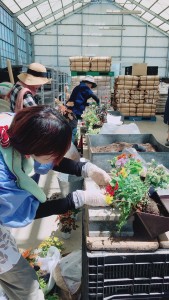 36587752_1756923941052331_9071889536757268480_n