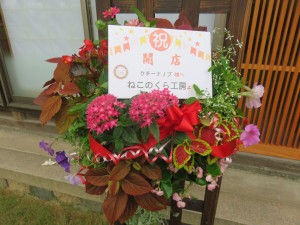 36725055_1764613656950026_6506243792599777280_n