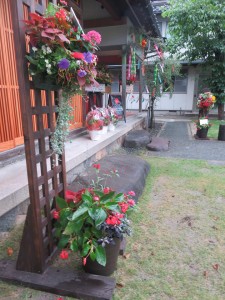 36761980_1764613683616690_8089288825743867904_n