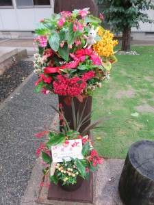 36763530_1764612810283444_5486393049271500800_n