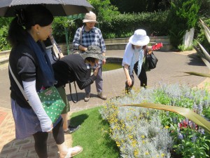 37076673_1777295362348522_6877150416593747968_n