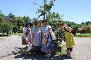 37095115_1777242022353856_7092608666473332736_n