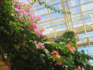 37106272_1777291642348894_6754462068738359296_n