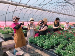 37107892_1809746025810819_1208799703437672448_n