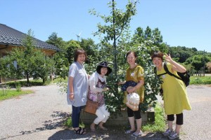 37111403_1777241589020566_3583450167497457664_n