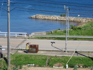 37127924_1777298069014918_3577446499002351616_n