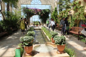 37161014_1777239449020780_6199639168398655488_n