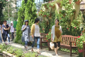 37198820_1777238775687514_5196308333874642944_n