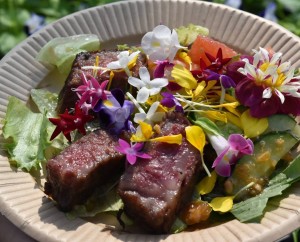 37206067_2107764992628309_7181985127721861120_o