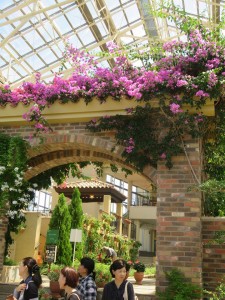 37206605_1777291682348890_437298395959263232_n