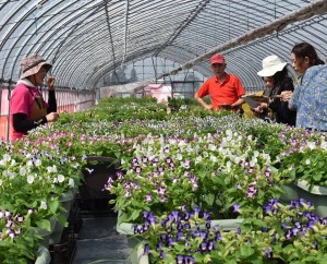 37263378_2107764879294987_7220861604022190080_o