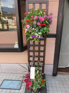 37551908_1787000104711381_1630884255787646976_n