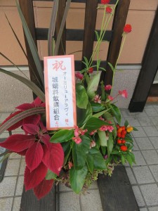 37584963_1786987528045972_6383047723775426560_n