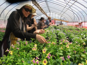 37682898_1790926374318754_8809746572918128640_n