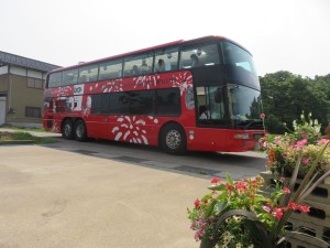 37685229_1790936687651056_1510629397747466240_n