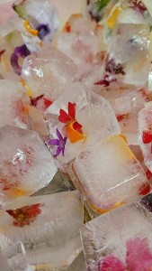 37919856_1799598140118244_5004192286356013056_n