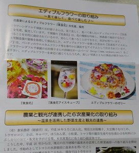 37971182_1800313566713368_1439202893319110656_n