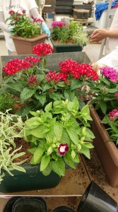 37929629_1799595226785202_3558537622013870080_n - コピー