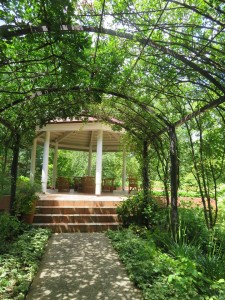 37511196_1828080510603340_5524557188065918976_n