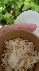 38168743_1805254646219260_133150510231322624_n