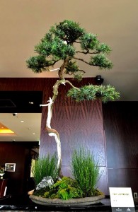 38256522_1657253984379307_9003521250907127808_n