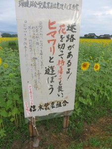 38612465_1819256961485695_551340669705125888_n