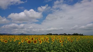 38828259_1821334127944645_7903518240217759744_n