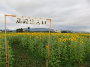 38902508_1819256974819027_4138041985711734784_o