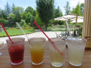 39099561_1828089350602456_5171492184637046784_o